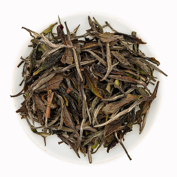 Té Blanco Zhangping de la Montaña Dayong