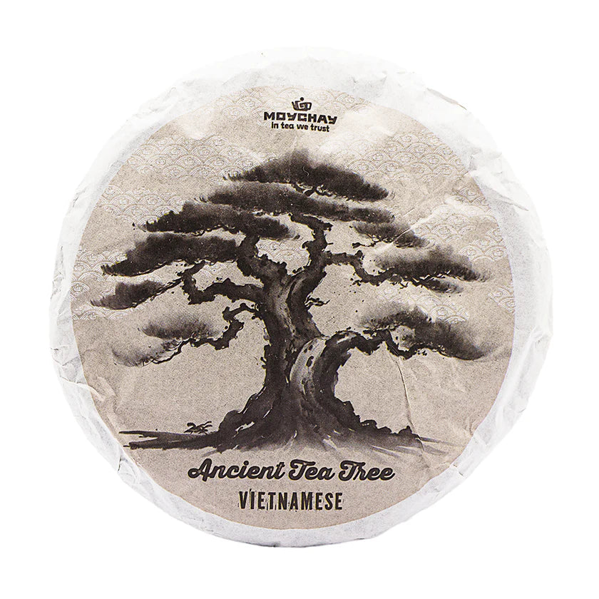 Arbre antic vietnamita Sheng Puer (2024) 100 g 