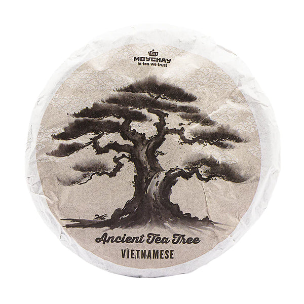 Arbre antic vietnamita Sheng Puer (2024) 100 g 