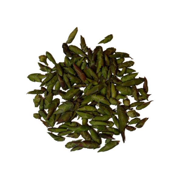 Dragon claw, Vietnam wild tea tree buds