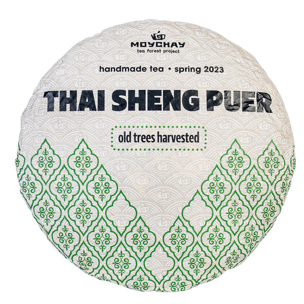Arbres salvatges Sheng Puerh Tea. Projecte de bosc de te de Tailàndia (primavera de 2023)