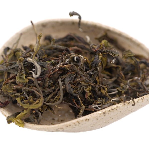 Vietnam Sheng Cha Gushu  25.03.2023